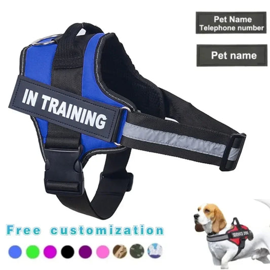 Dog Harness / Dog Leashes